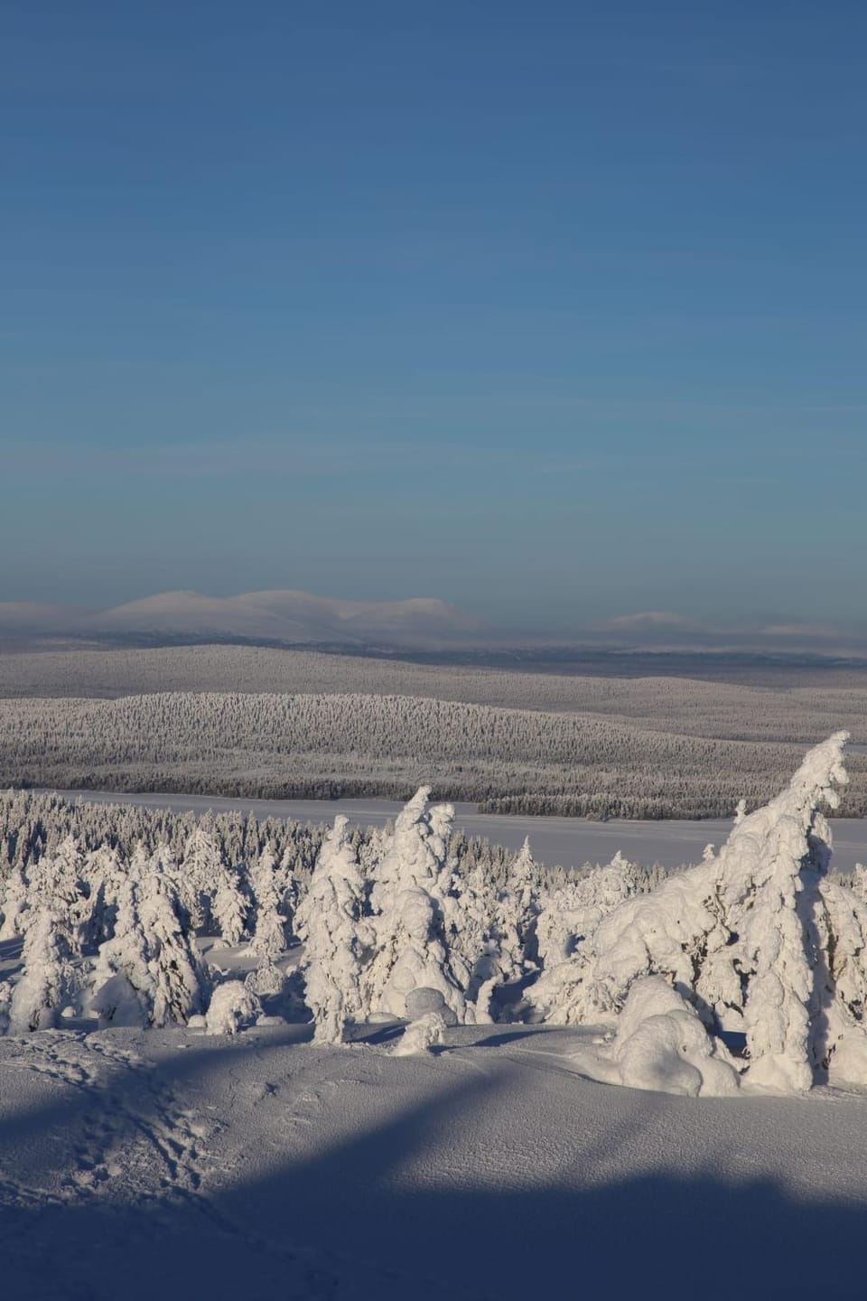 Neighbourhood, Winter