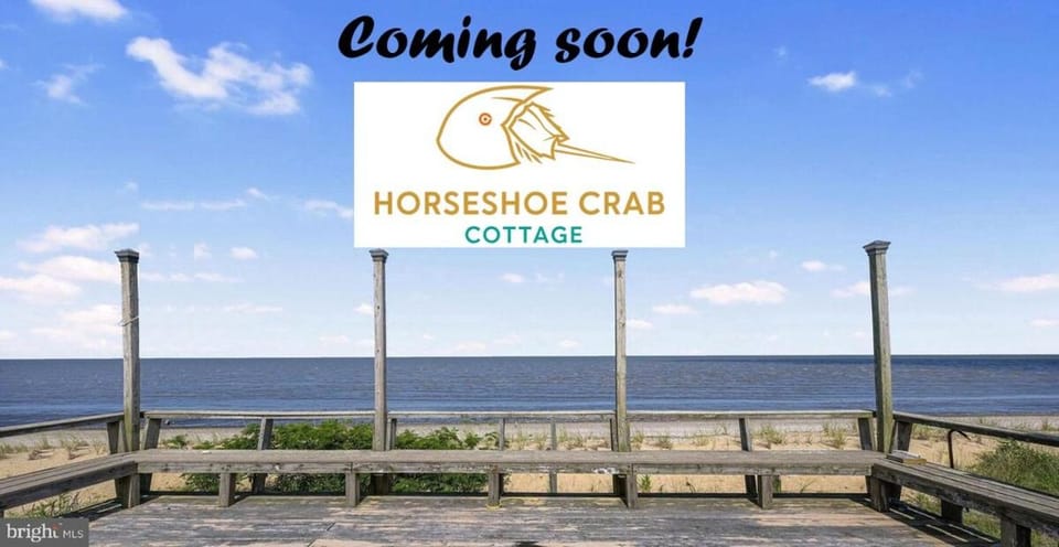 The Horseshoe Crab Cottage at Pickering Beach in Dover, DE House in Delaware