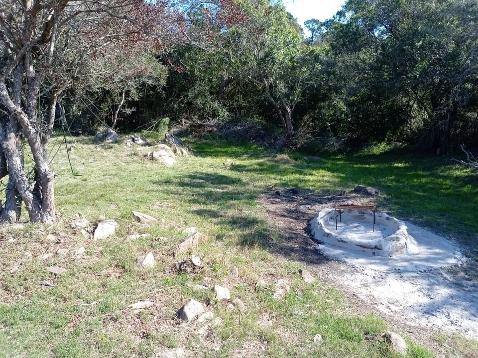 Natural landscape, Garden view