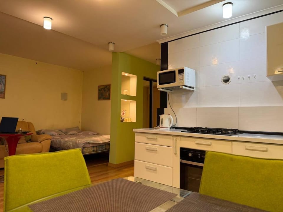 Солнечная набережная 1 кв Студия вид река Apartment in Dnipro