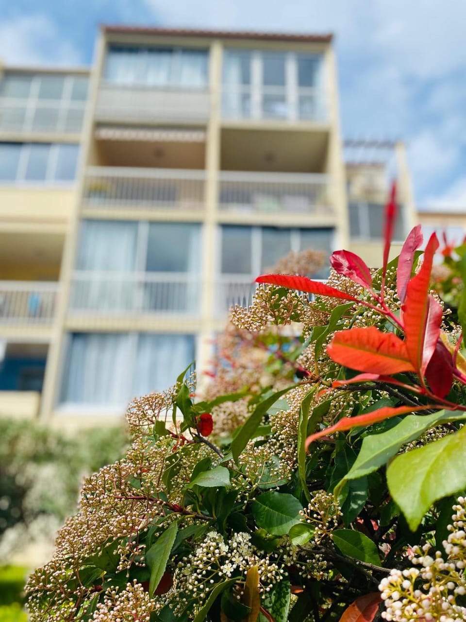 Cocon Sète Corniche, plages à pied, parking privé Apartment in Occitanie