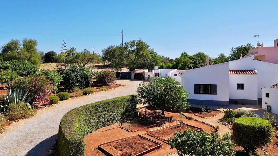 Property building, Garden, Garden view