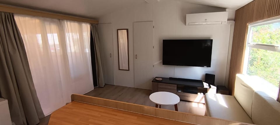 TV and multimedia, internet