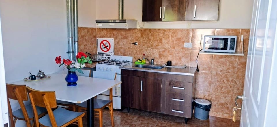El patio de Zoe Apartment in Cipolletti