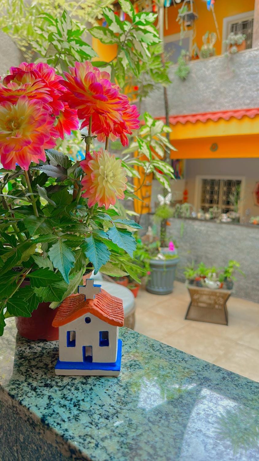 Day, Garden, Garden view