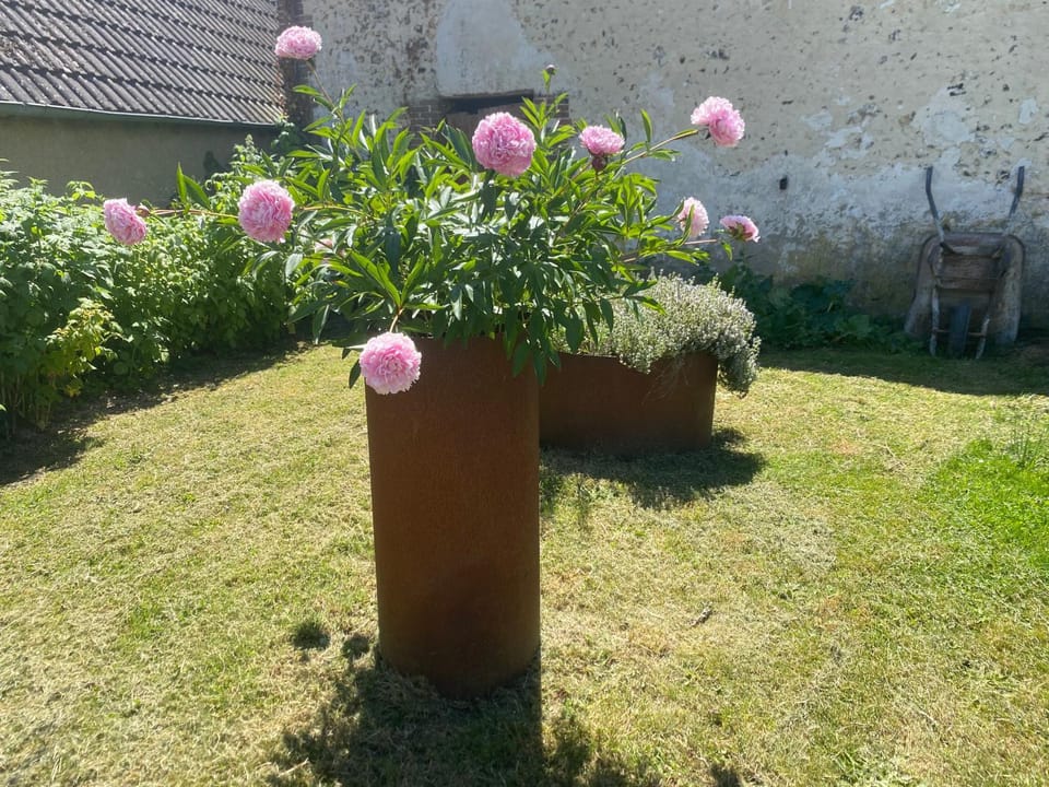 Les Terres Noires Bed and Breakfast in Centre-Val de Loire