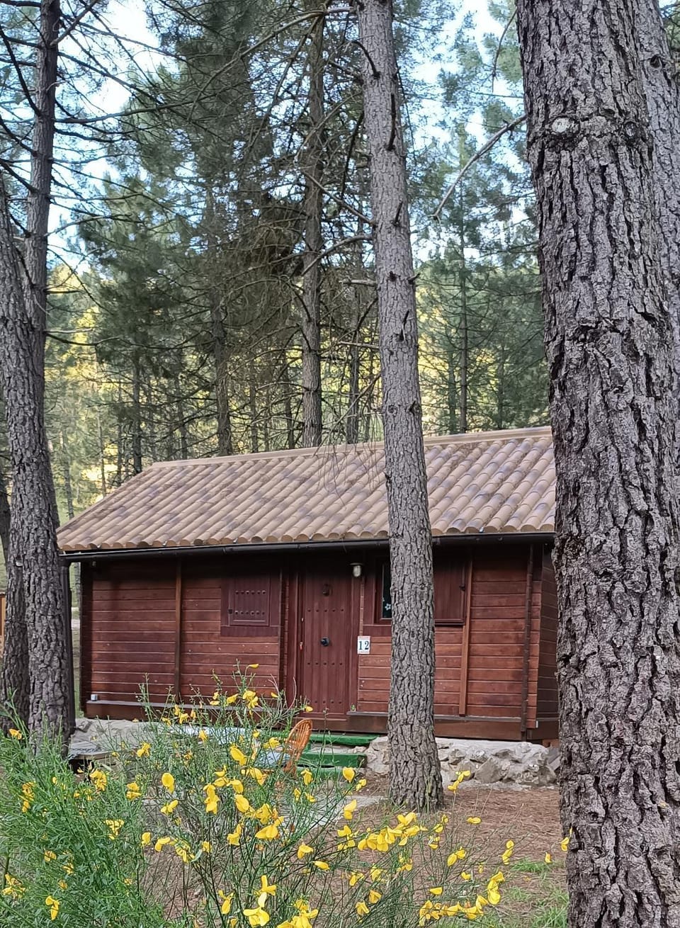 La cabaña de Magui House in Castile-La Mancha