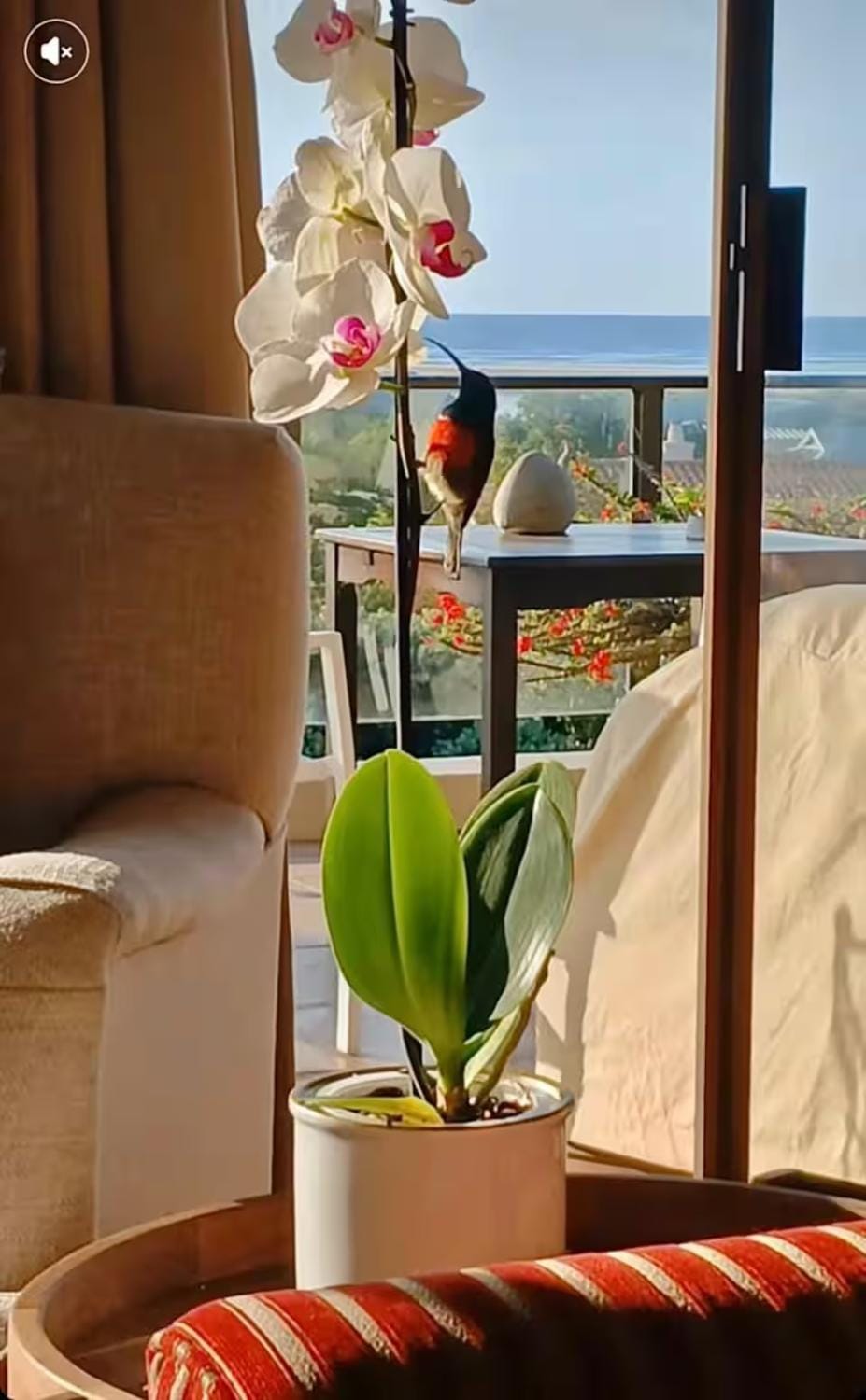 Tidal Retreat Selfcatering Apartment in Plettenberg Bay