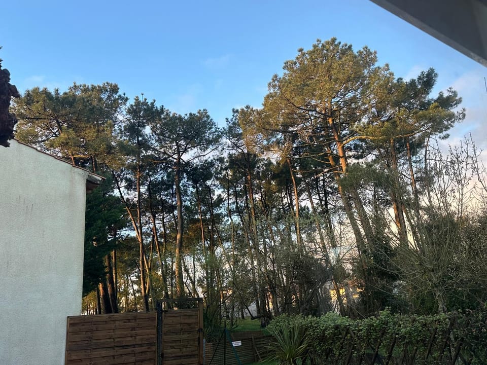 Natural landscape, Garden, Garden view