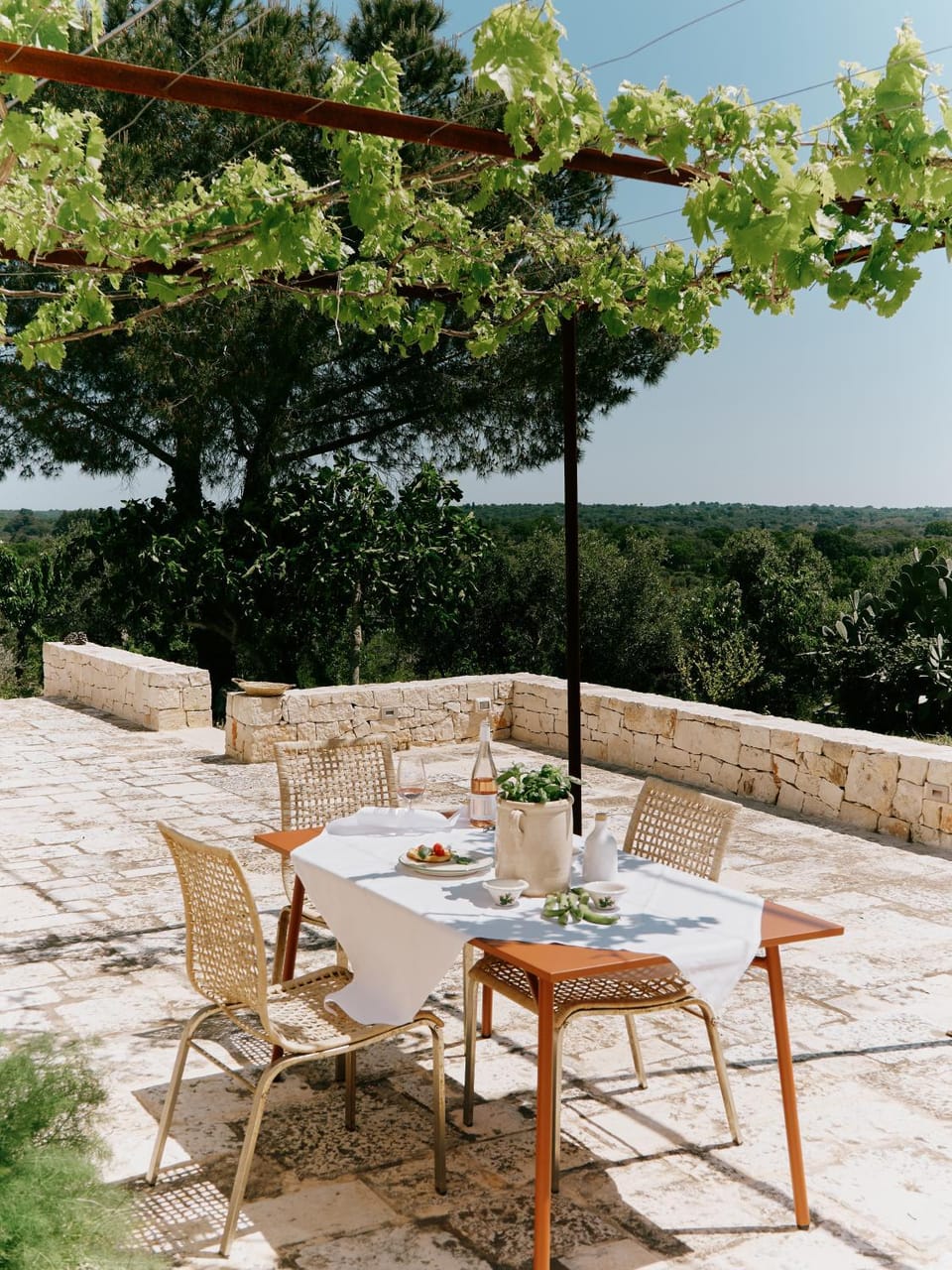 Patio, Spring, Day, Natural landscape, Garden, View (from property/room), Dining area, Garden view