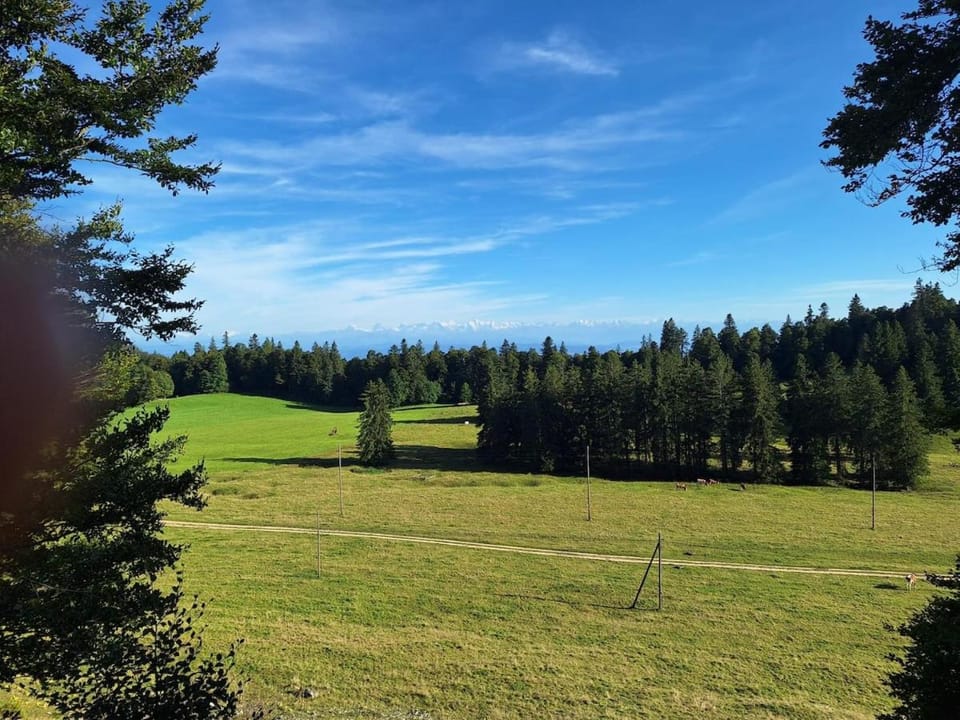 Chalet en pleine nature avec vue grandiose Chalet in Canton of Bern (Region)