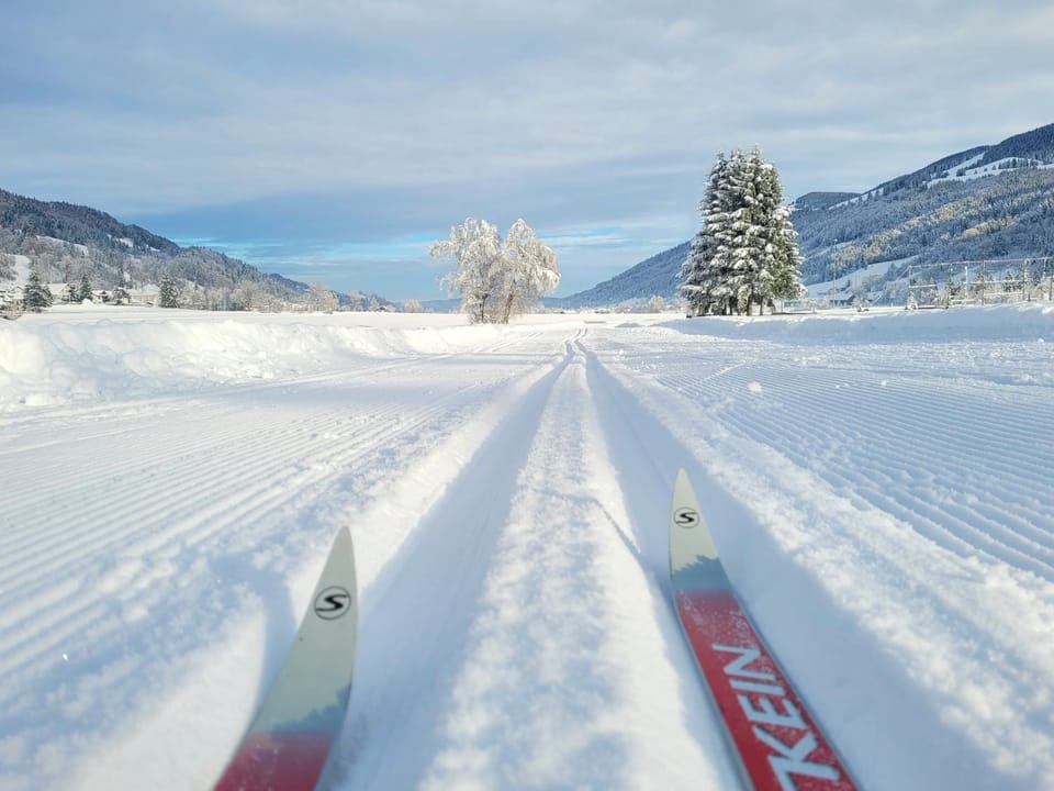 Skiing