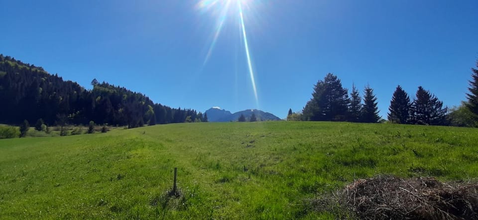 Natural landscape