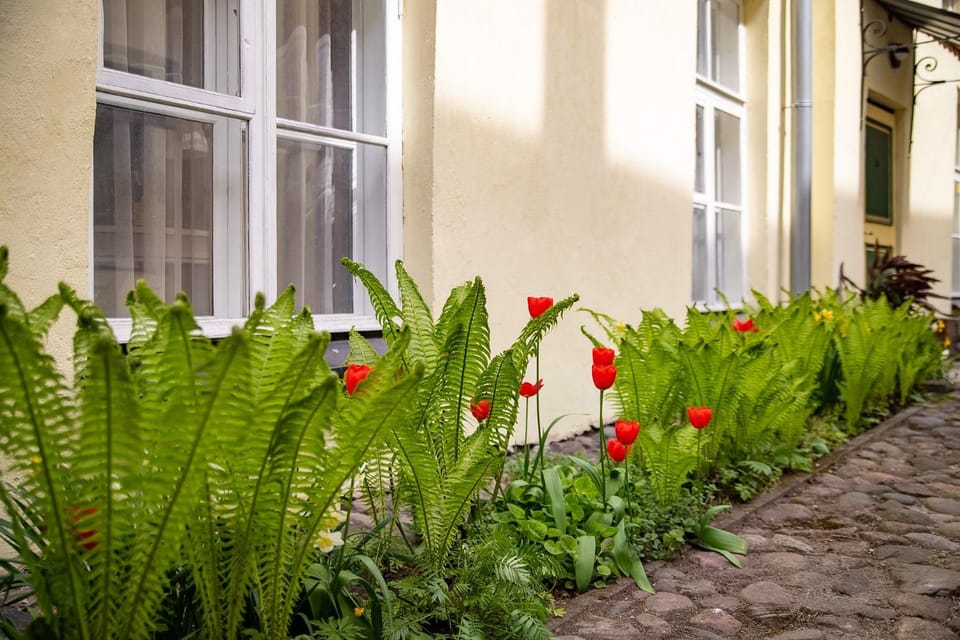 Property building, Spring, Quiet street view