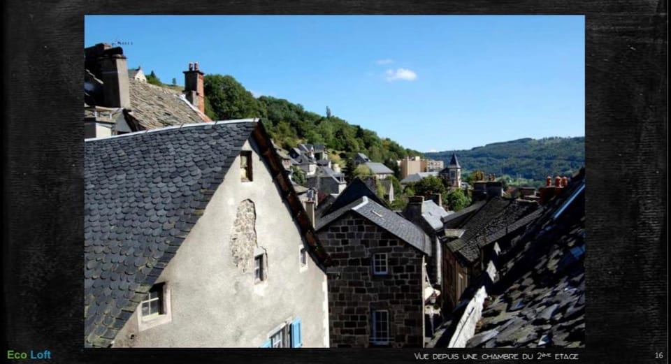 Le Loft des Remparts Apartment in Auvergne-Rhône-Alpes