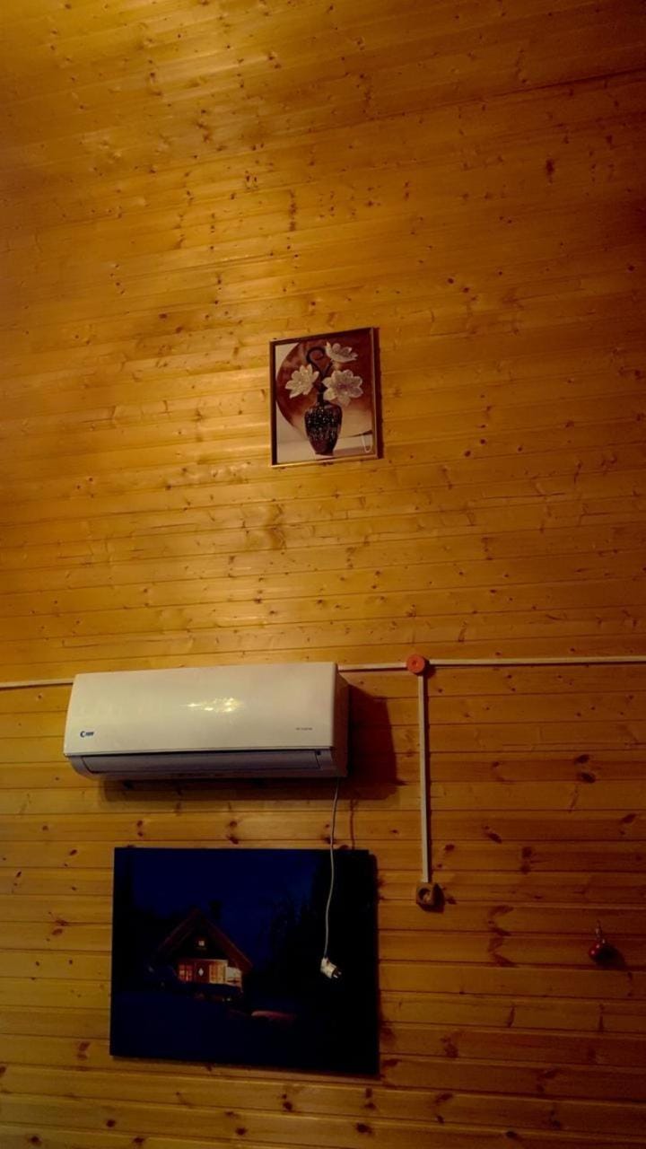 Cottage Apartment in Tbilisi, Georgia
