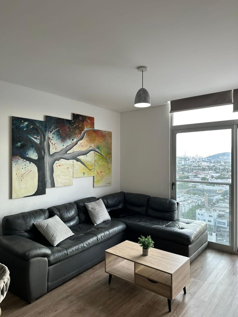 Aluna Executive Apartment Apartment in Monterrey