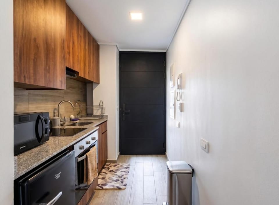 Paseo Huerfanos I Metro Universidad de Chile Apartment in Santiago