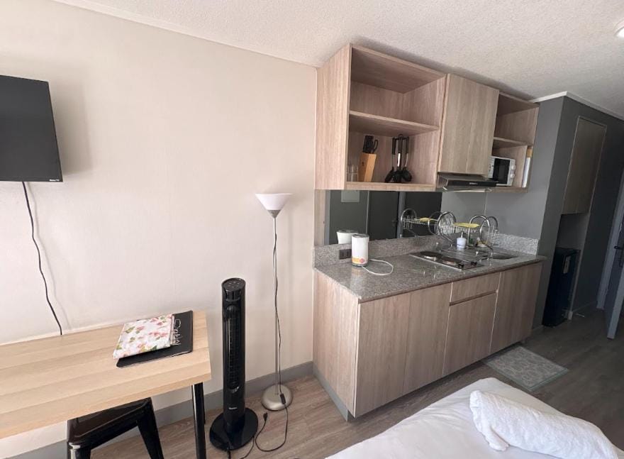 Studio con 2 Camas I Plaza Brasil I Centro Apartment in Santiago