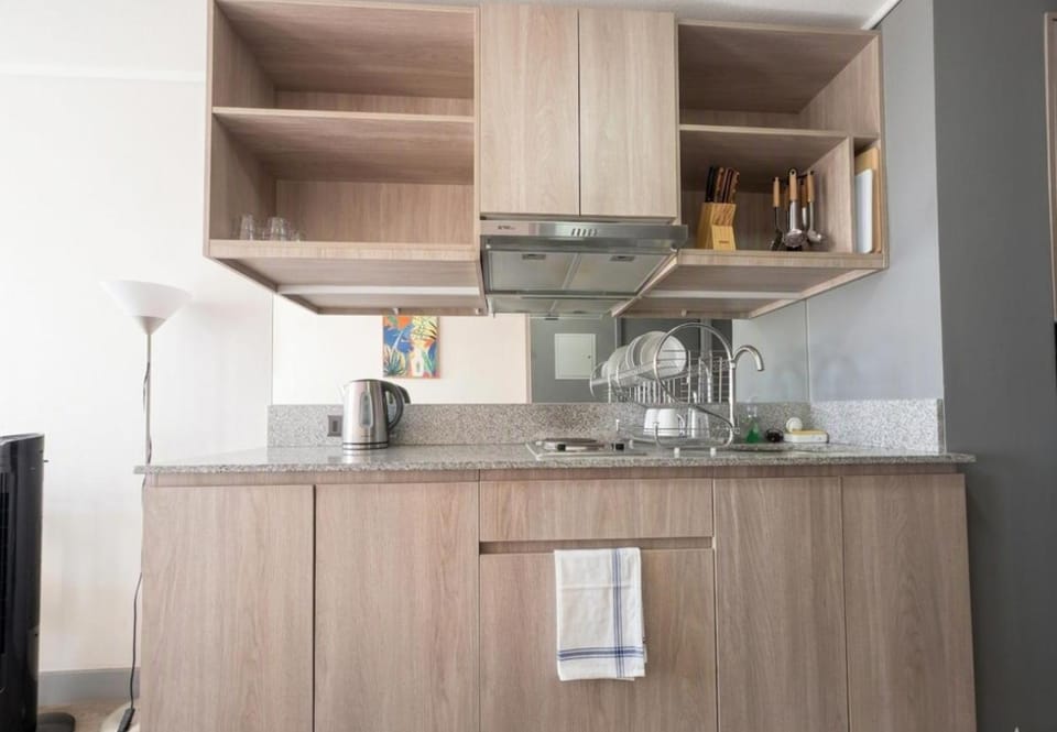 Studio con 2 Camas I Plaza Brasil I Centro Apartment in Santiago