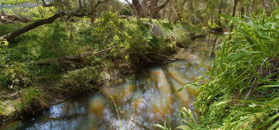 Room in a shared farmhouse Farm Stay in Kelmscott