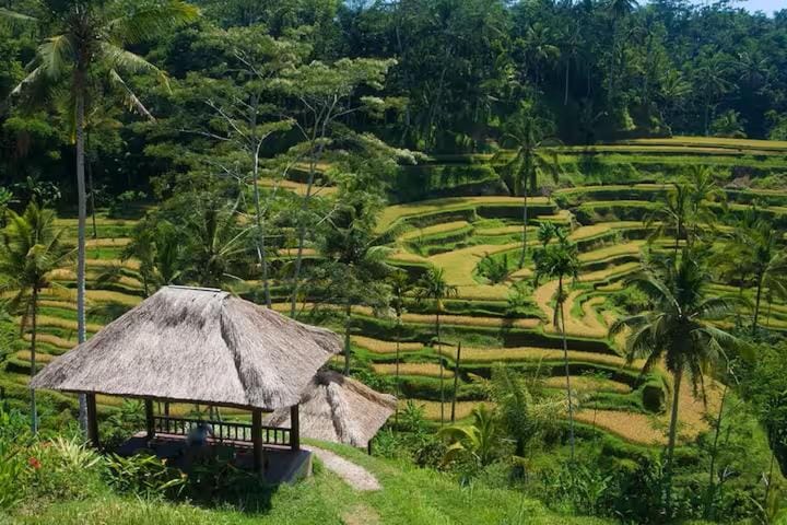 Ubud Garden Villa with Luxury Private Pool Managed by IAM Apartment in Sukawati