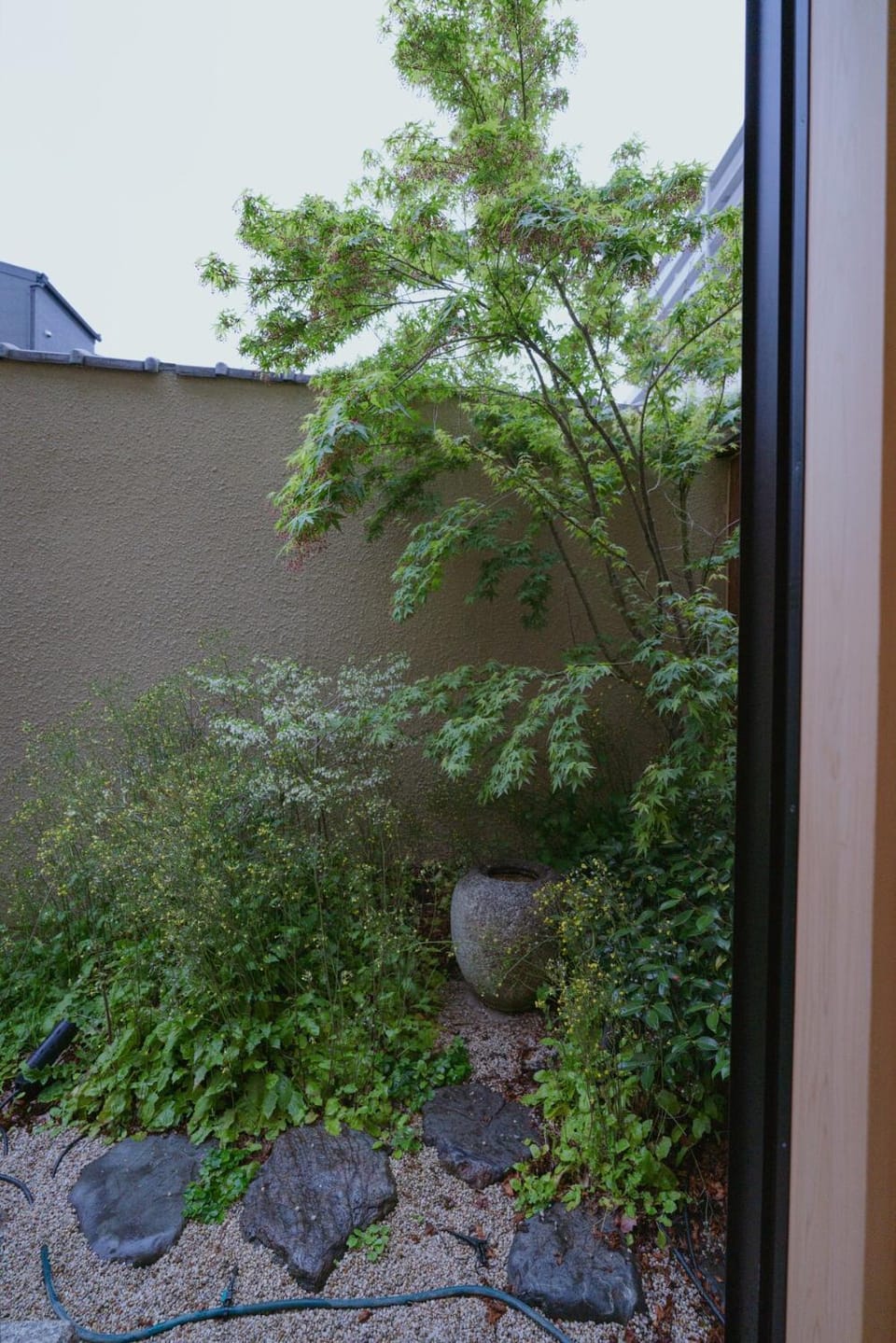 Day, Garden, Garden view