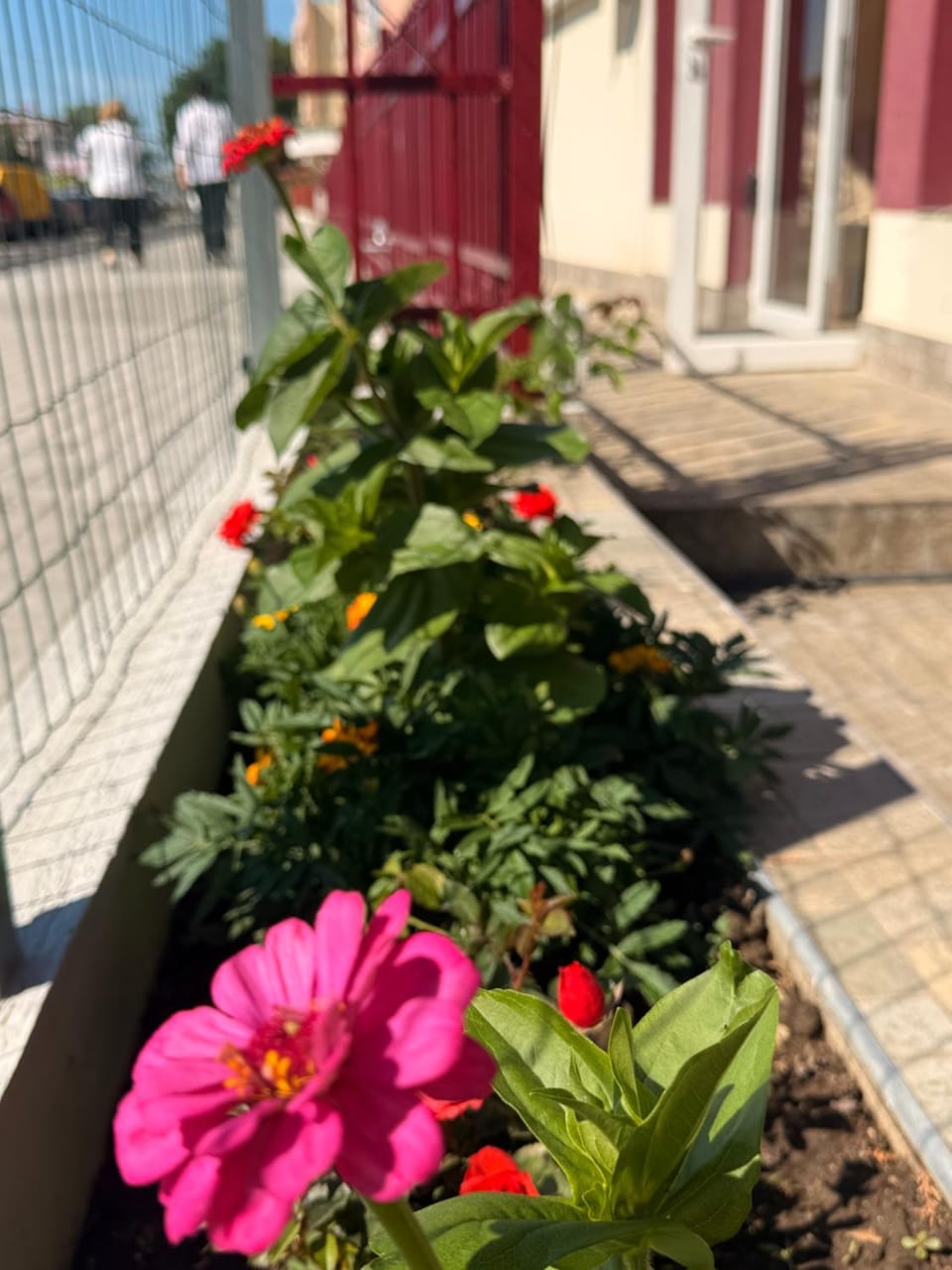 One- bed Gold Deluxe Flat Apartment in Sunny Beach