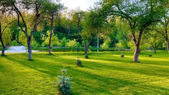 La PARAUL DIN LIVADA Farm Stay in Romania