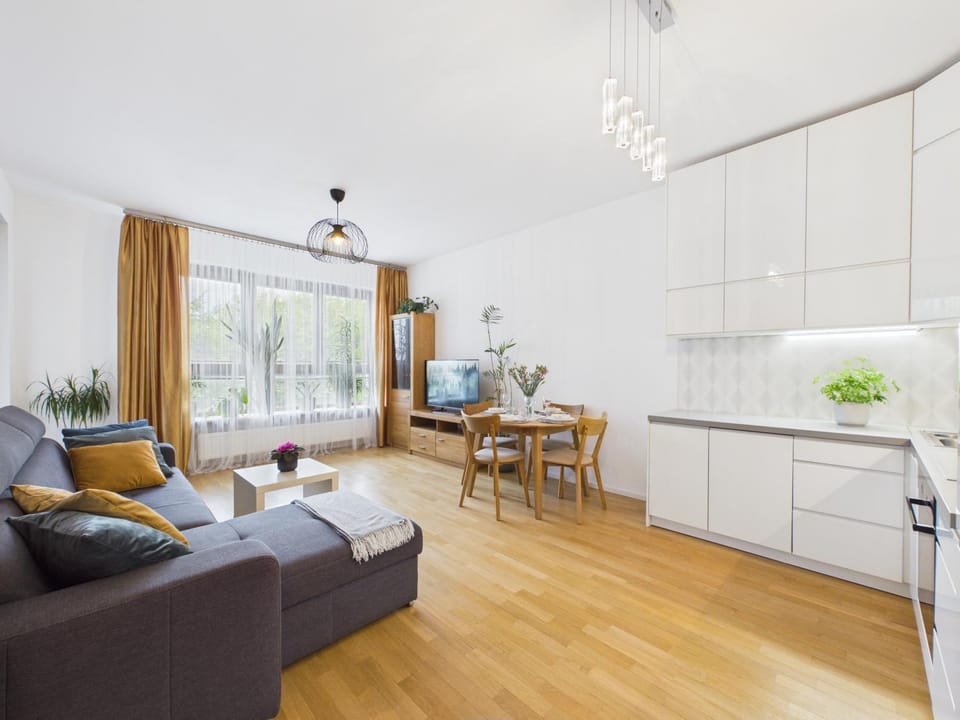 Kitchen or kitchenette, Living room