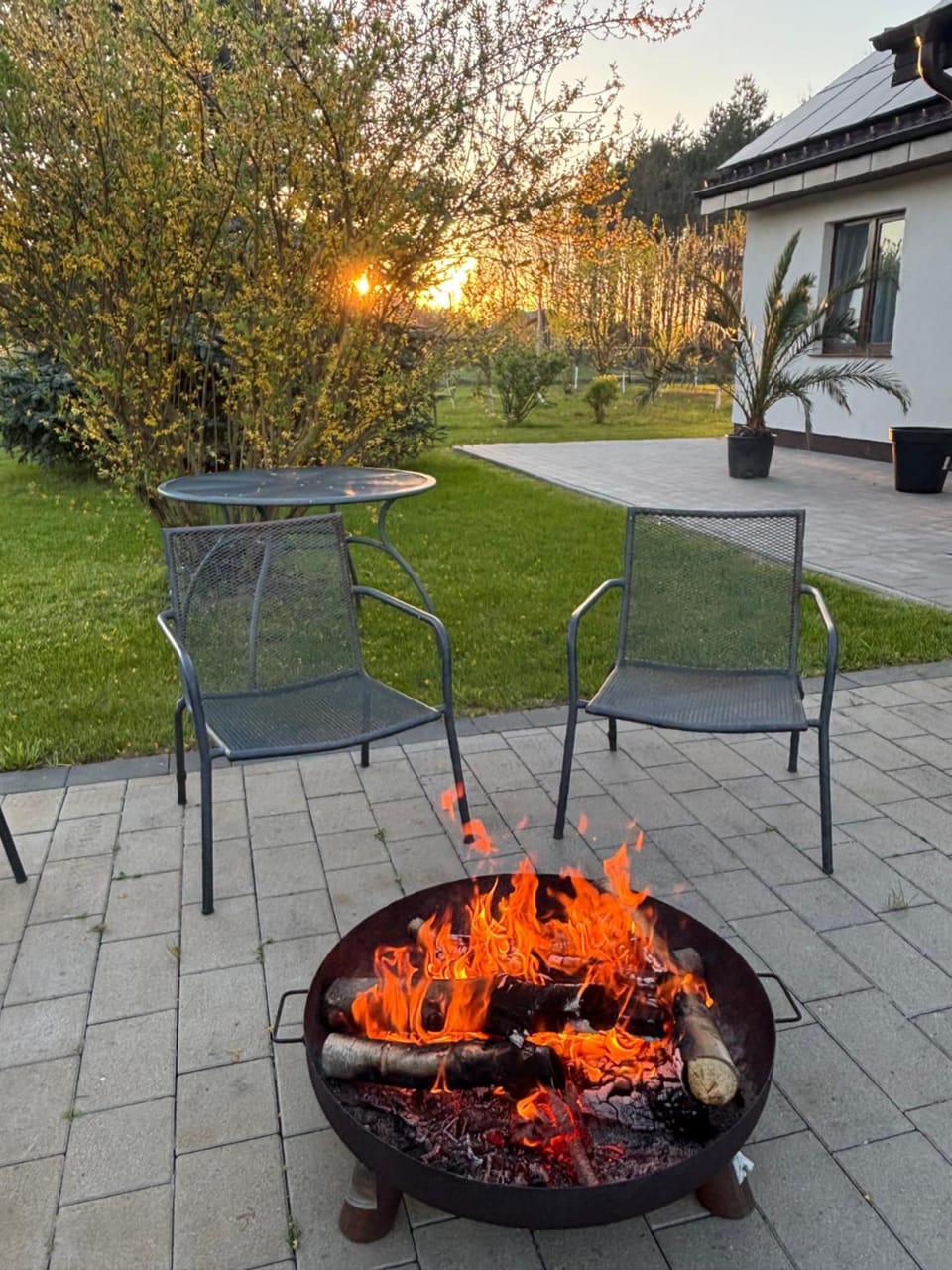 Patio, Day