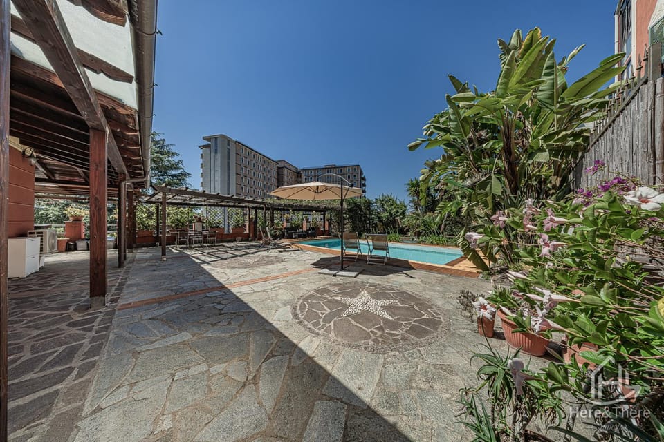 Day, Pool view, Swimming pool