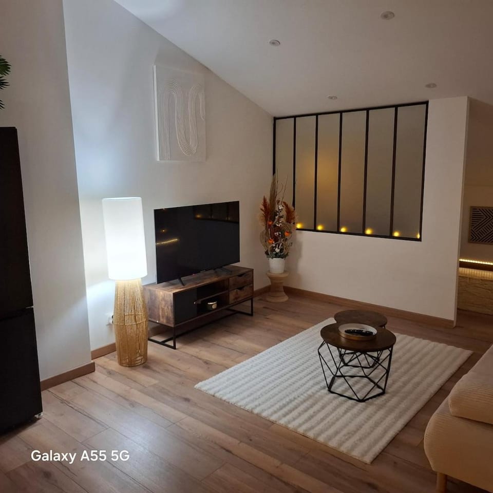 Suite Canopée & Spa Apartment in Albi