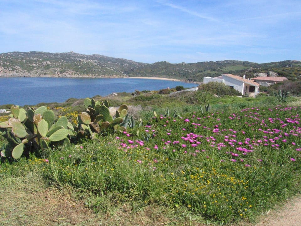 Natural landscape