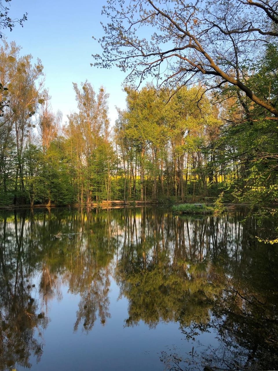 Natural landscape, Lake view