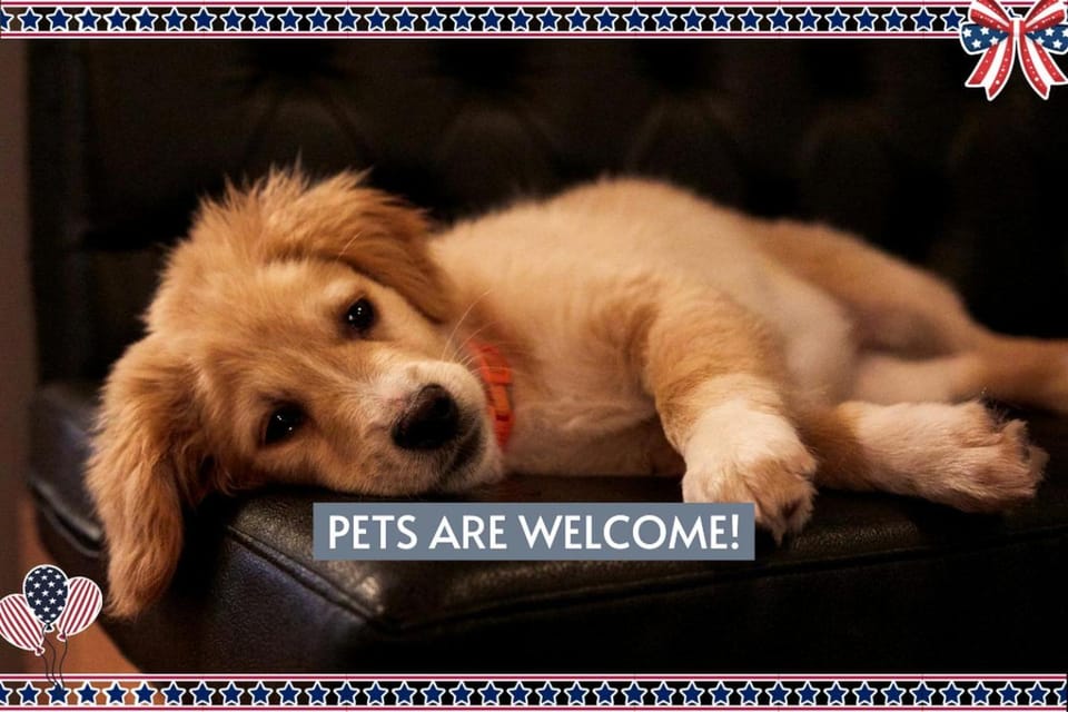Chic, Renovated Barn with Hot Tub near the Heart of Fredericksburg Texas, Perfect for a Rustic Escape House in Fredericksburg