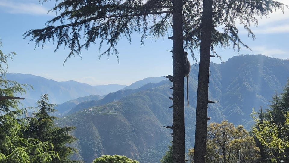 ONHILLs Apartment in Uttarakhand