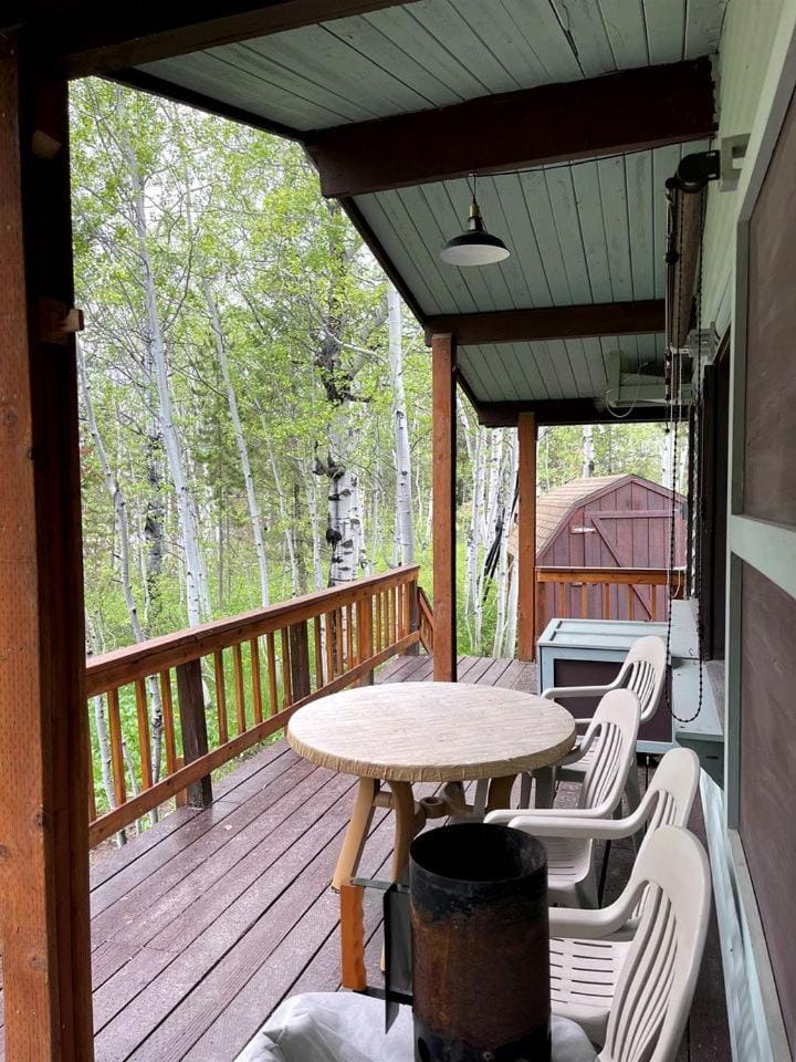 Cozy Secluded Cabin Surrounded by Trees near Yellowstone, Idaho Cabin in Island Park