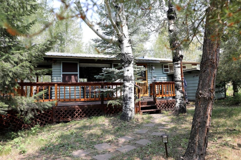 Cozy Secluded Cabin Surrounded by Trees near Yellowstone, Idaho Cabin in Island Park