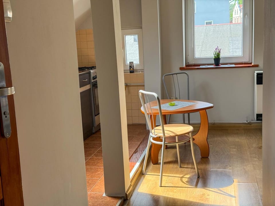 Kitchen or kitchenette, Dining area, oven, stove