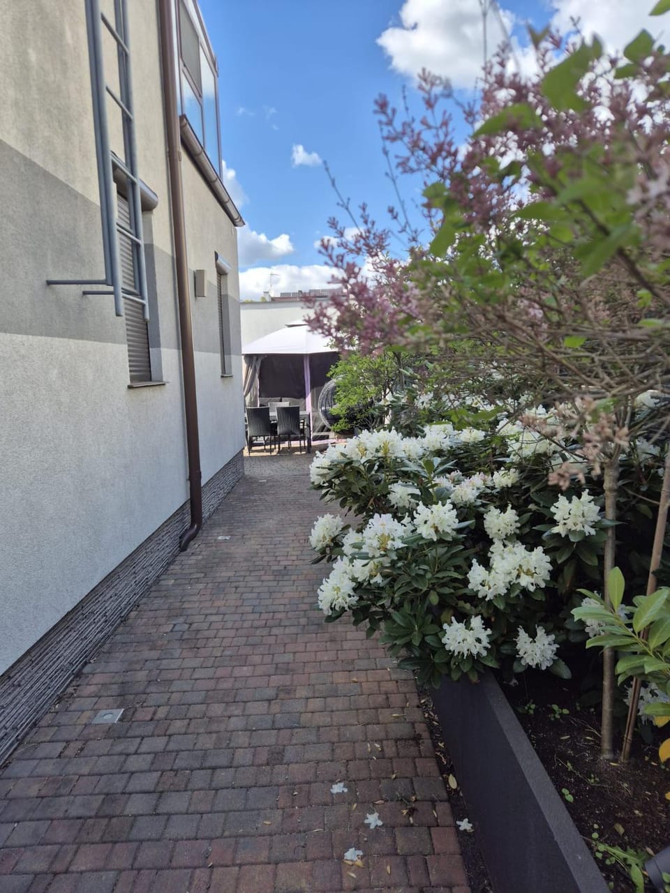Garden, Garden view