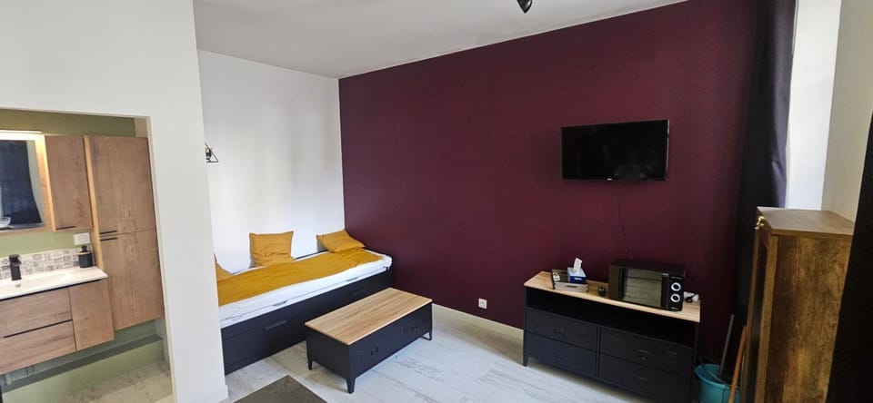 Studio Cosy Narbonne Centre Apartment in Narbonne