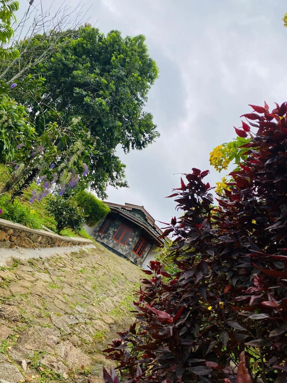 Garden view