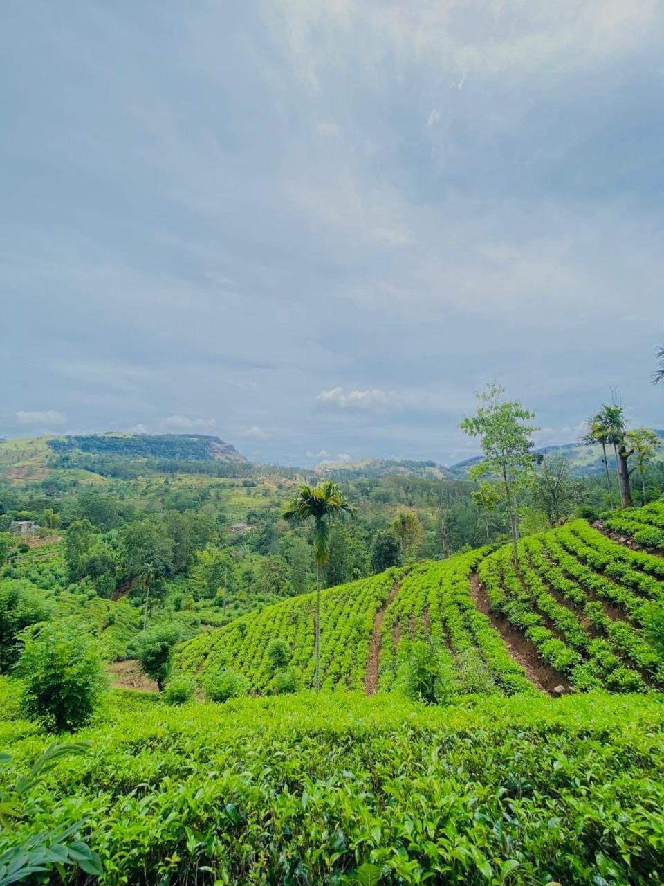 Natural landscape
