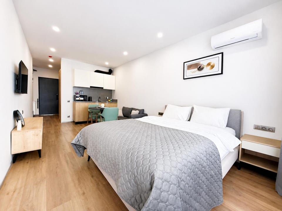 Bed, TV and multimedia, Living room, Photo of the whole room, Seating area, Dining area, Bedroom, kitchen, air conditioner