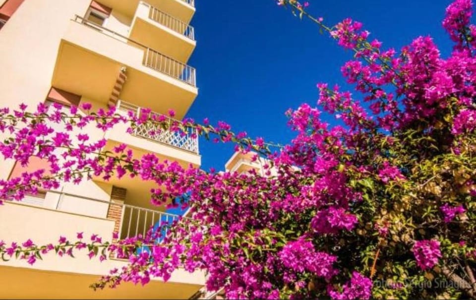 Minerva Beach Studio Apartment in Benalmadena