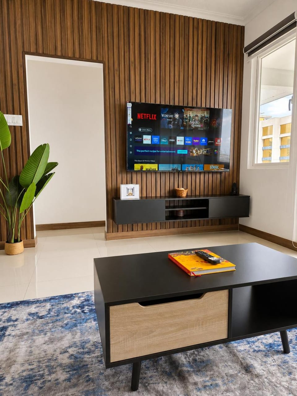 TV and multimedia