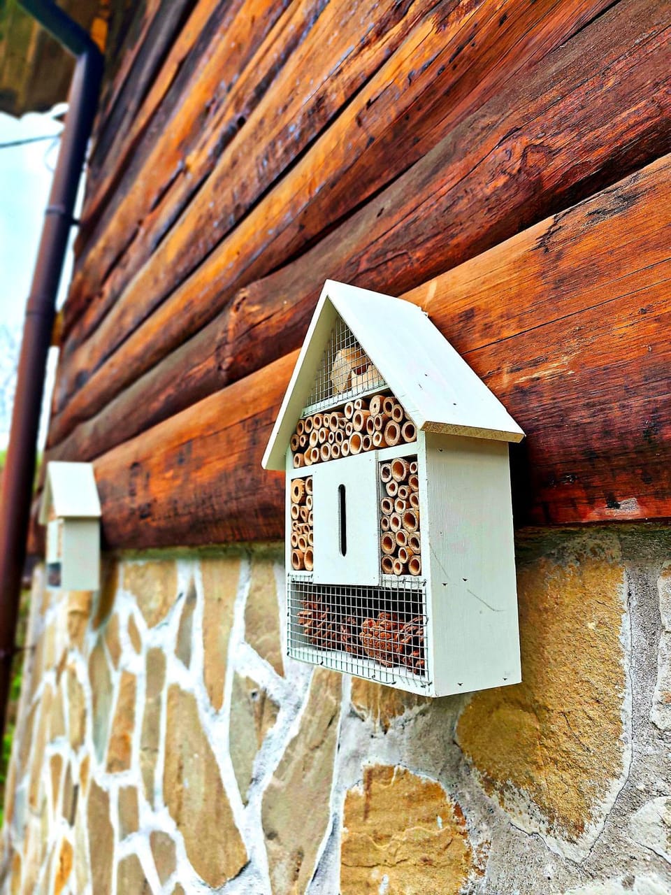 Property building, Day, Natural landscape, pet friendly