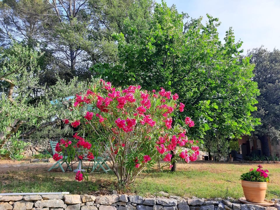 La Maison De Campagne Bed and Breakfast in French Riviera