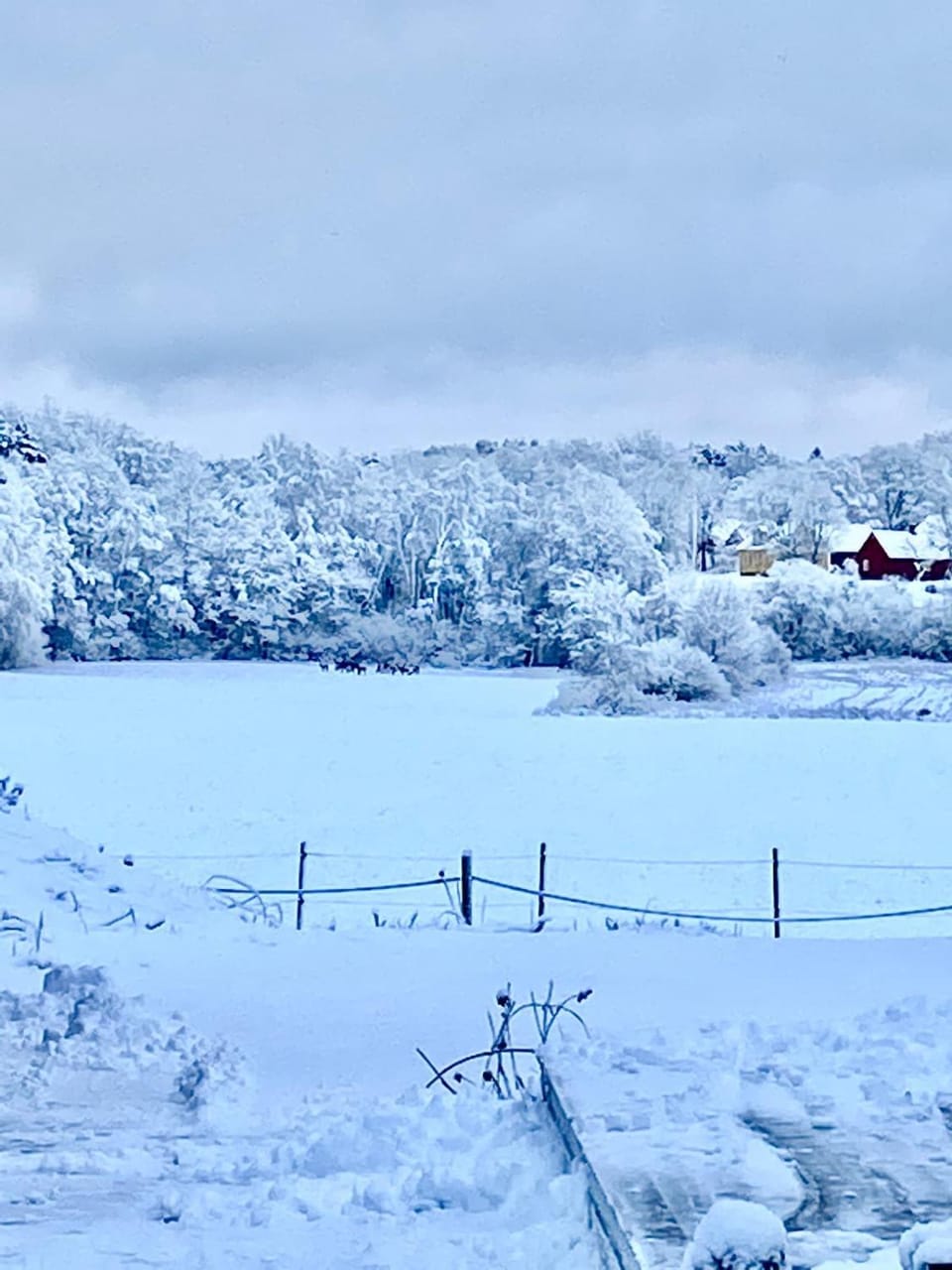 Bergsbo Lodge House in Sweden